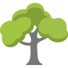 Phoenix Tree Trimming Service