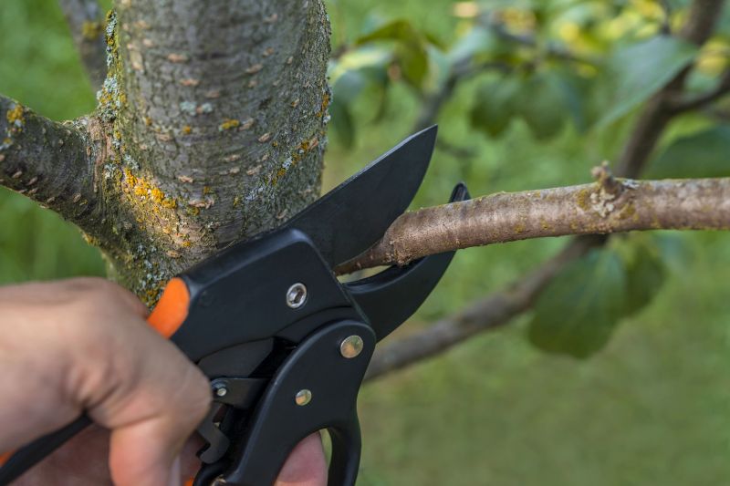 Limb Pruning