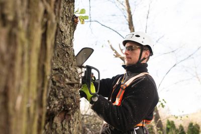 Arborist with Safety Gear