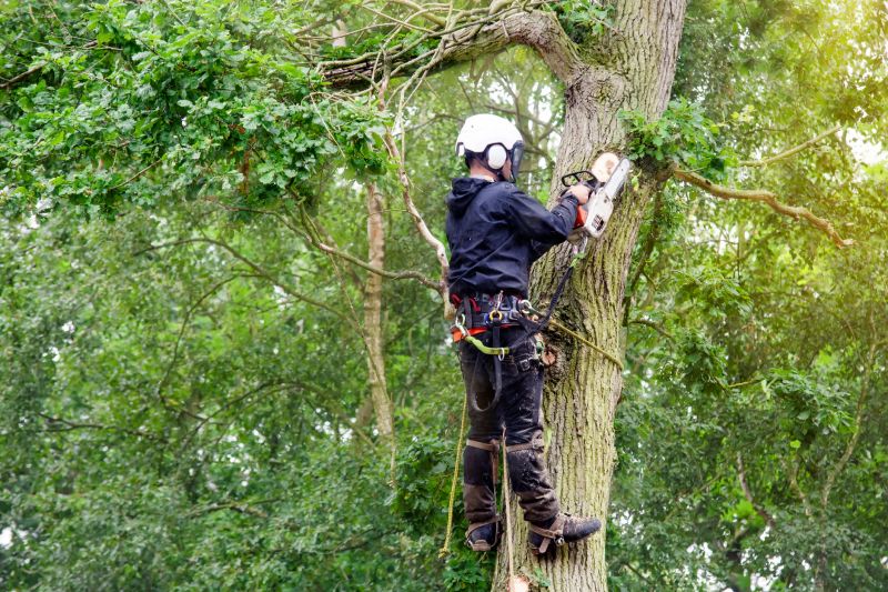 Large Tree Trimming