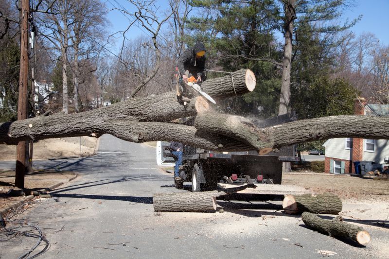 Emergency Tree Trimming Services